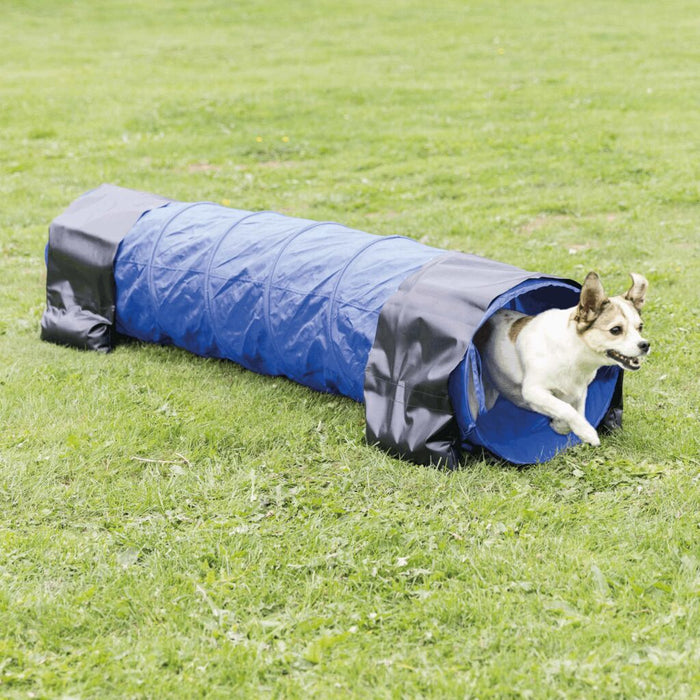 Fun Agility Mini Tunnel, blau