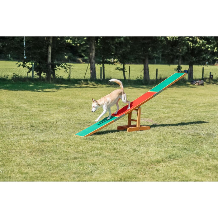 Fun Agility Wippe