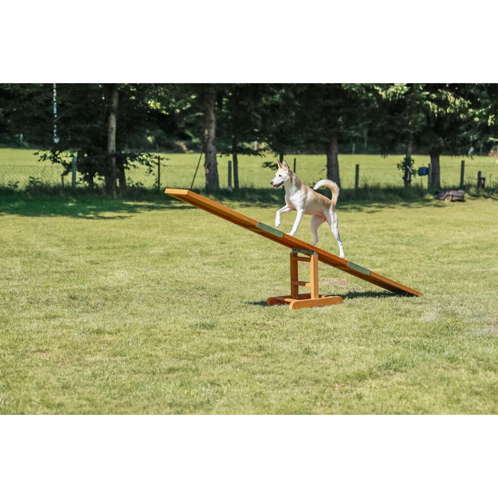 Fun Agility Wippe