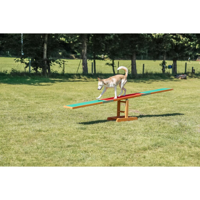 Fun Agility Wippe
