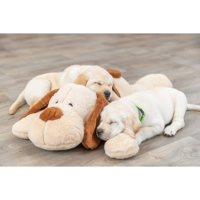 Ankuschelhund Benny, Plüsch, beige/braun