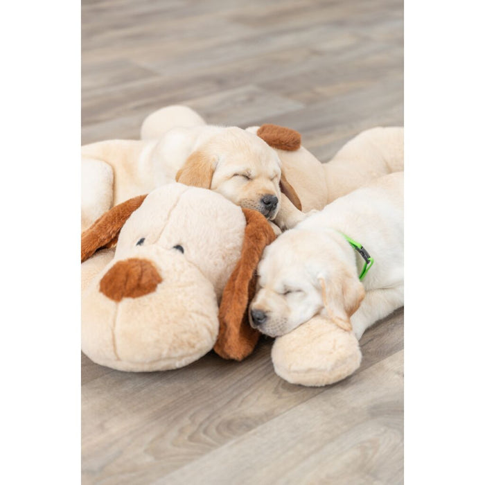 Ankuschelhund Benny, Plüsch, beige/braun