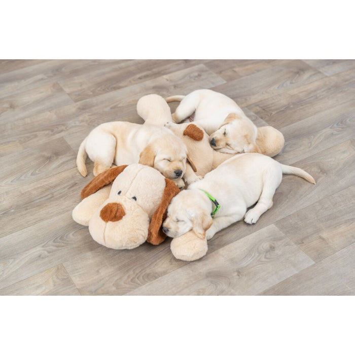 Ankuschelhund Benny, Plüsch, beige/braun