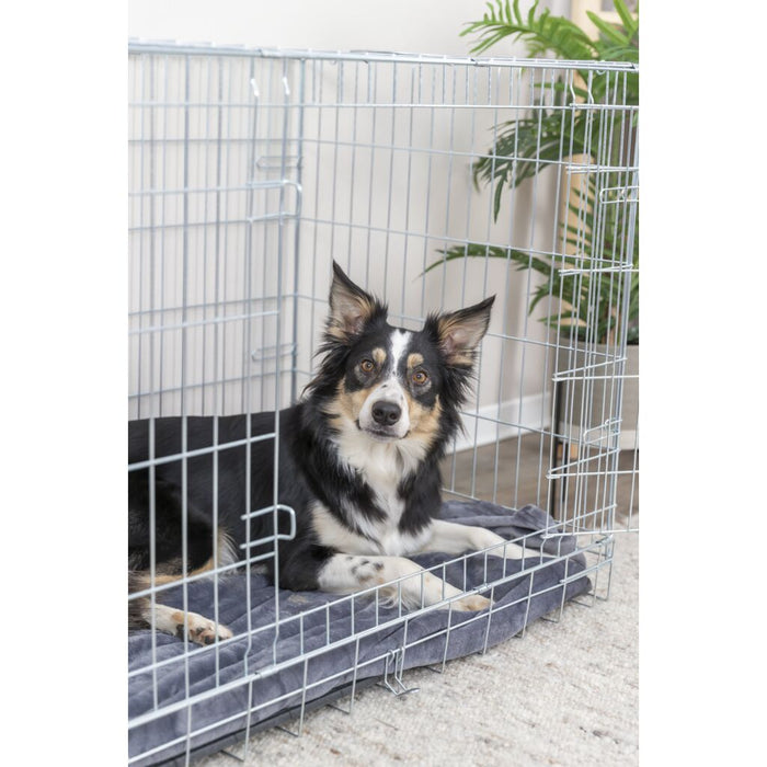 Hundebox Home