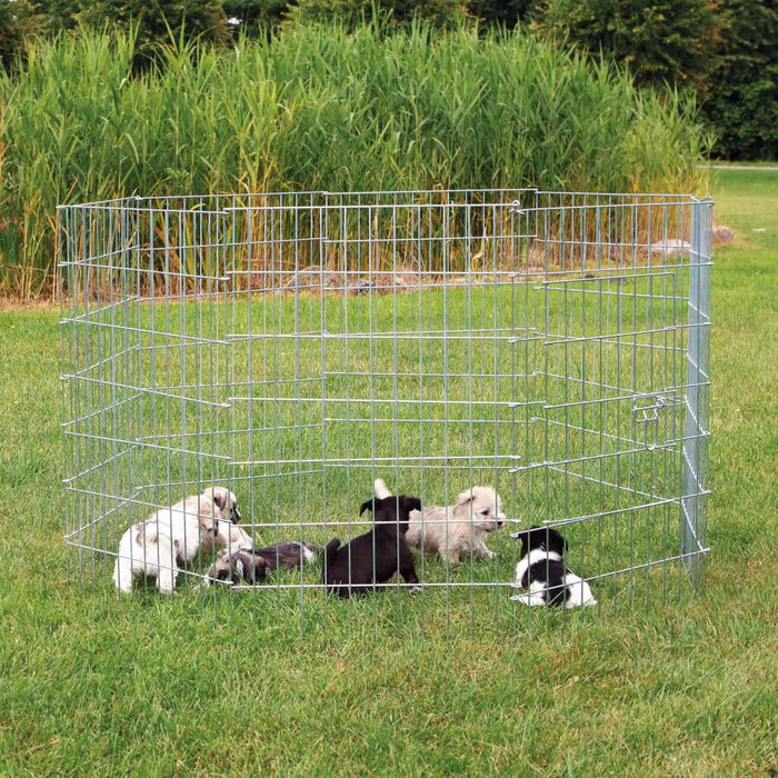 Freilauf für kleine Hunde, verzinkt