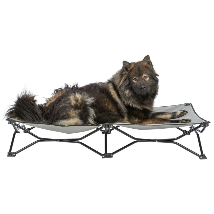 Camping-Bett für Hunde, beige/schwarz