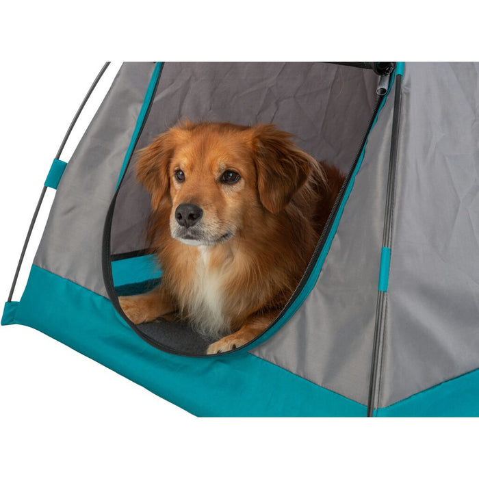 Zelt für Hunde, dunkelgrau/petrol