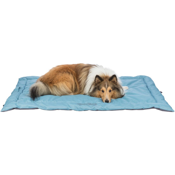 Reisedecke Samoa Classic, eisblau/grau