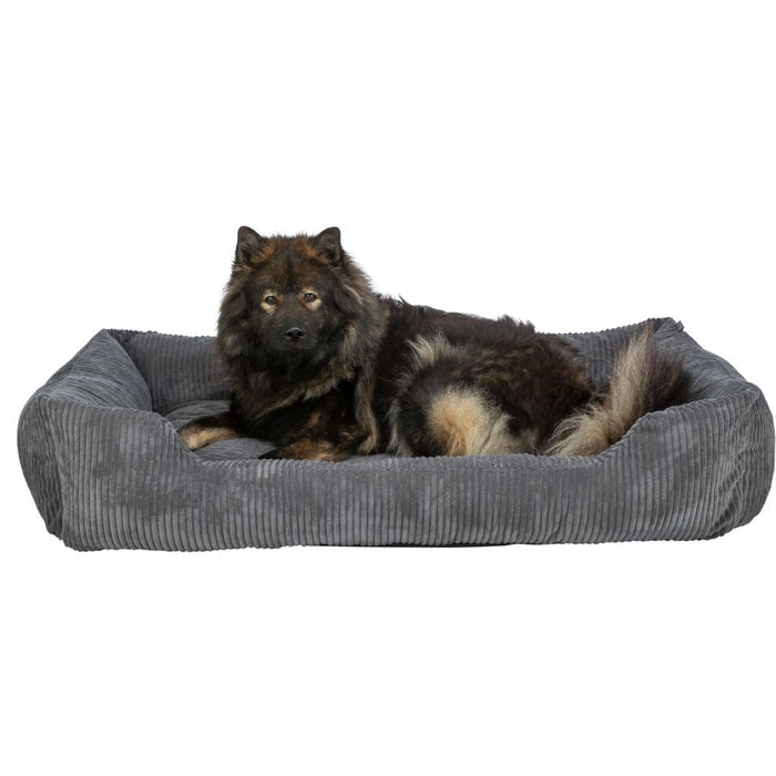 Vital Bett Jonna, Cordplüsch, eckig, dunkelgrau