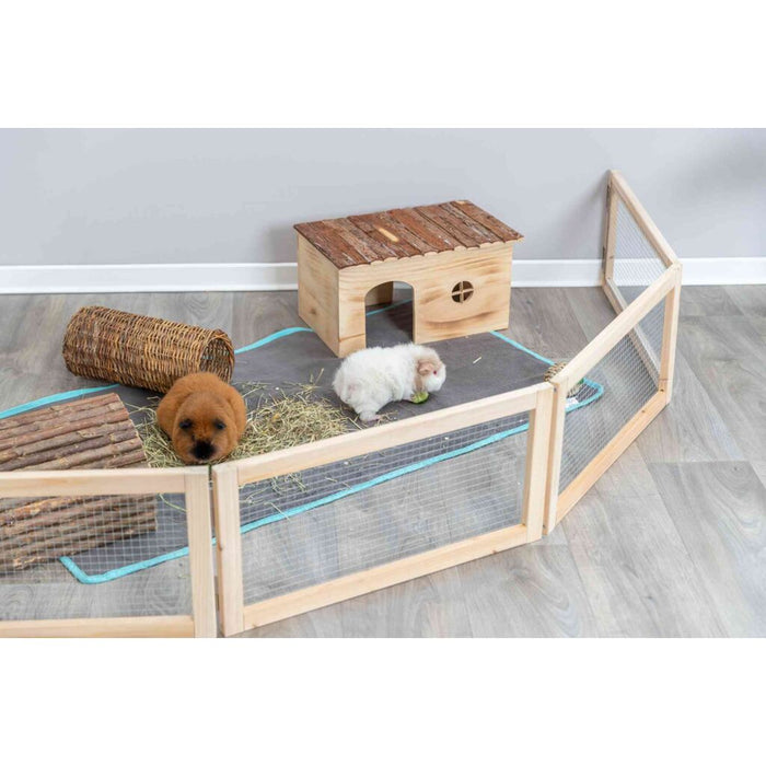 Indoor Freilaufgehege, Meerschweinchen