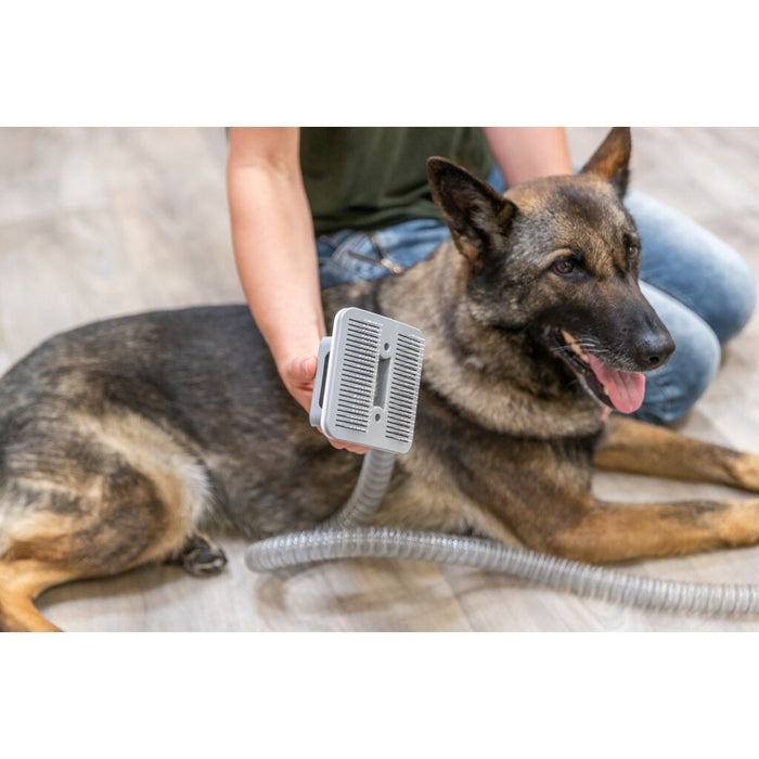 Grooming Kit, Sauger mit Schermaschine & Bürsten, 2 l