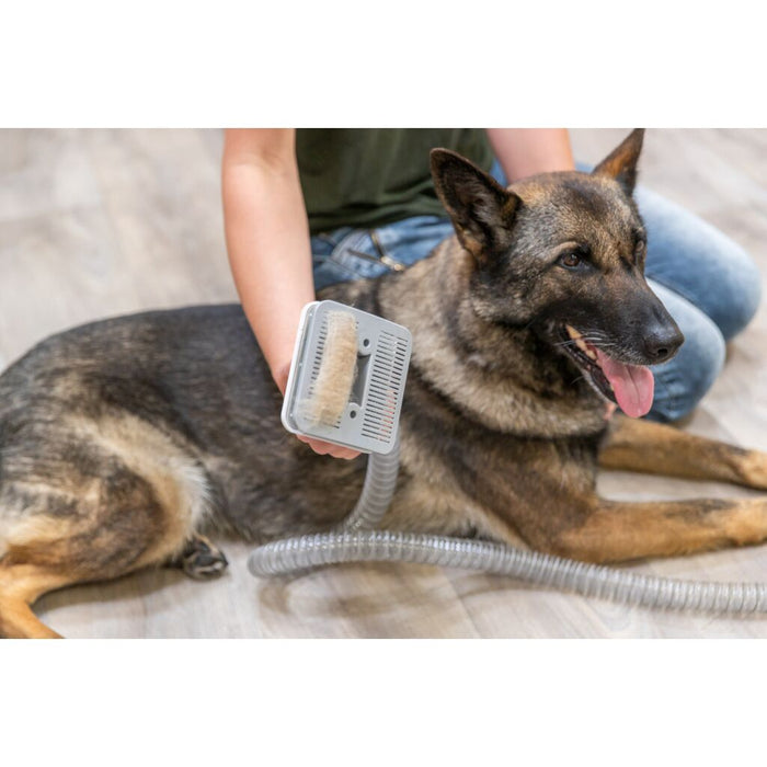 Grooming Kit, Sauger mit Schermaschine & Bürsten, 2 l