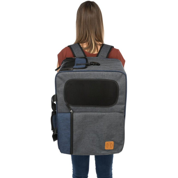 Rucksack & Tasche Tara 2 in 1, grau/blau