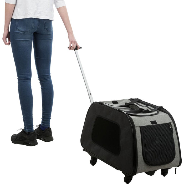 Trolley, abnehmbares Fahrgestell, schwarz/grau