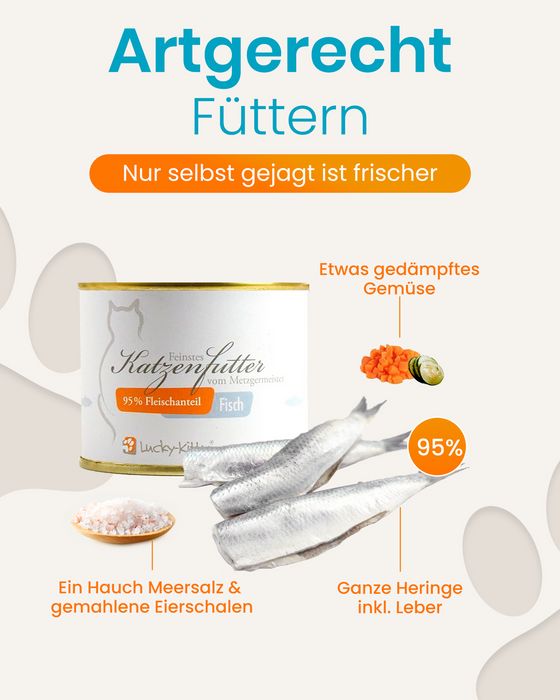 Katzenfutter Fisch Premium-Qualität