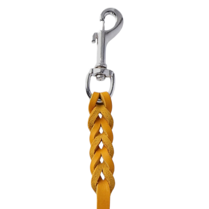 Hundeleine Soft Leder mit Handschlaufe und geflochtenen Element