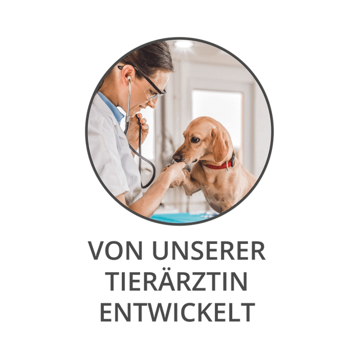 Wildsterne Classic Junior Ente & Kartoffel