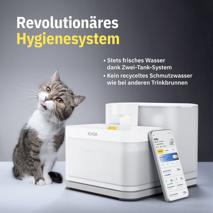 Welly – Smarter Katzen Trinkbrunnen