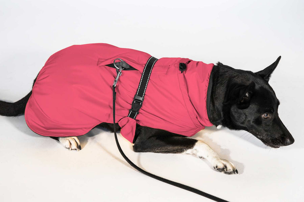 Hunderegenjacke mit Rückenöffnung "Blush Pink" - NEU