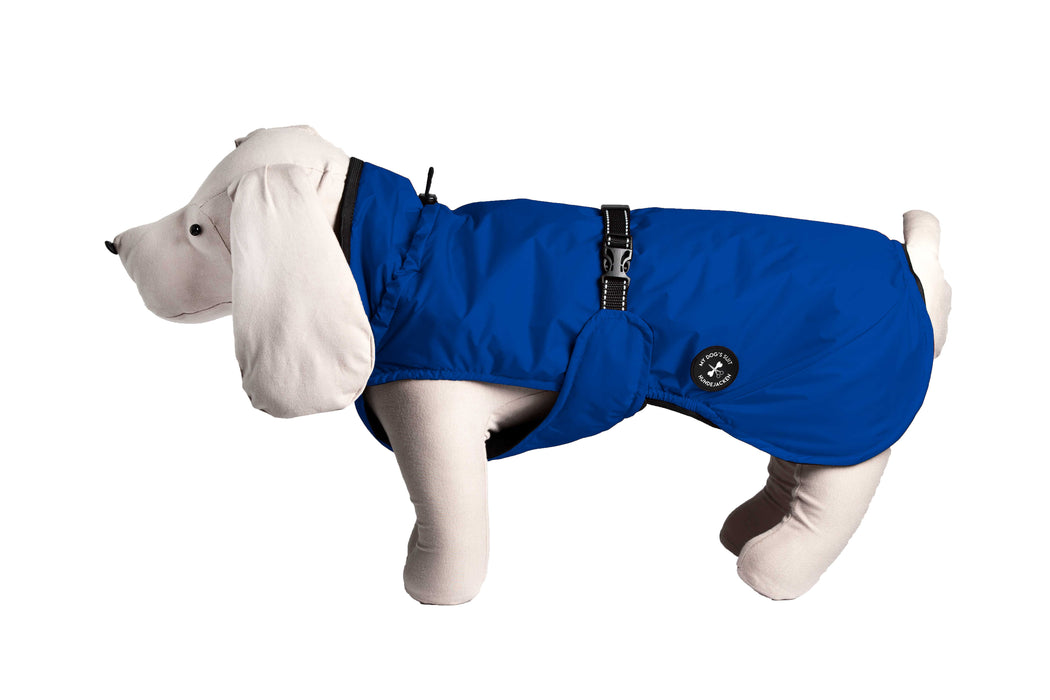 Hunderegenjacke mit Rückenöffnung "Royal Blue"