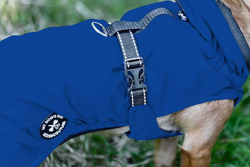 Hunderegenjacke mit Rückenöffnung "Royal Blue"