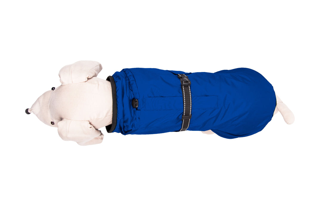 Hunderegenjacke mit Rückenöffnung "Royal Blue"