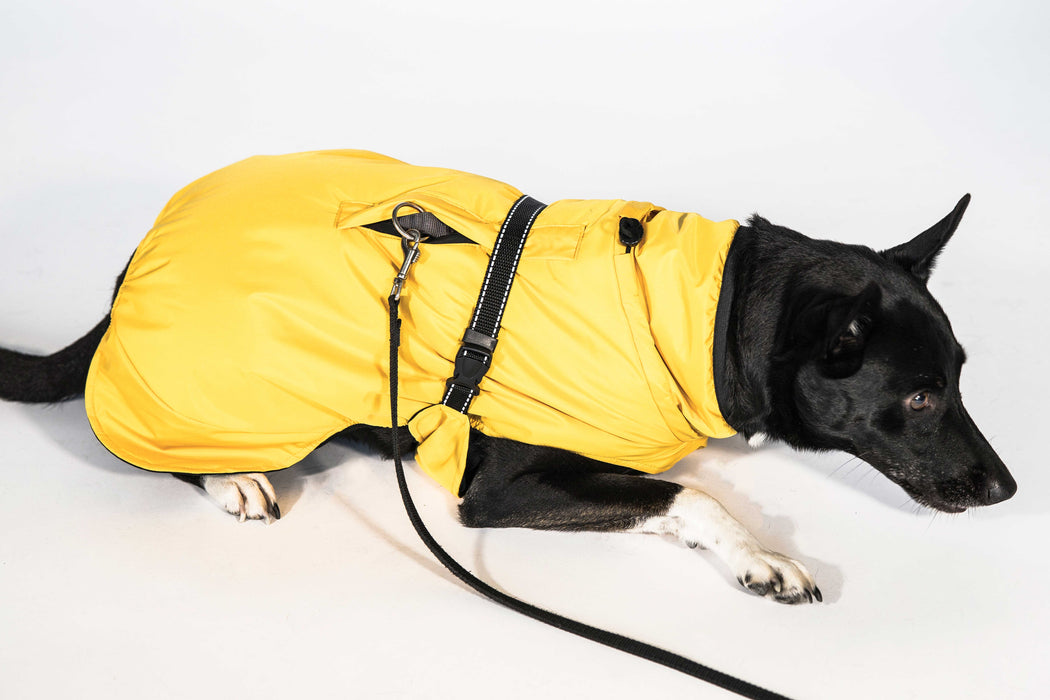 Hunderegenjacke mit Rückenöffnung "Sunshine Yellow"
