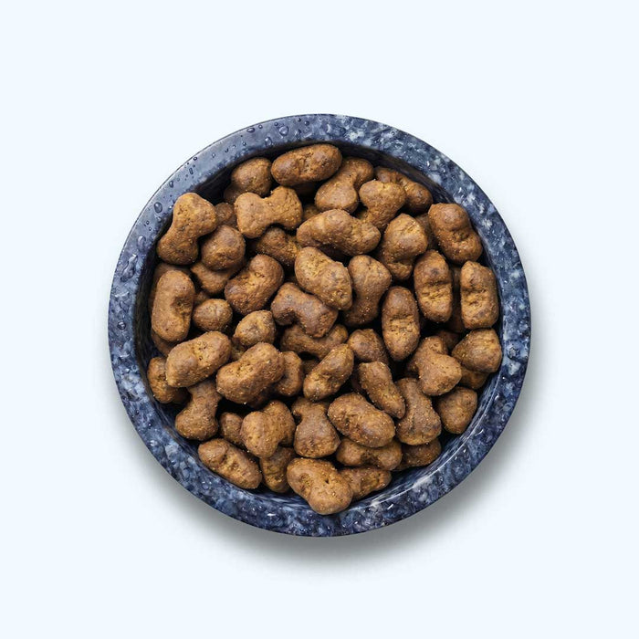 Funktionaler Snack Verdauung - Fördert eine gesunde Darmflora