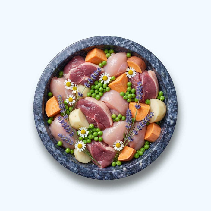 Funktionaler Snack Verdauung - Fördert eine gesunde Darmflora