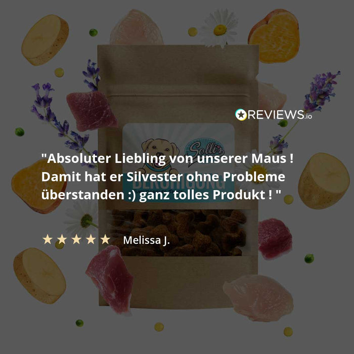 Funktionaler Snack Immunsystem - Fördert Immunabwehr