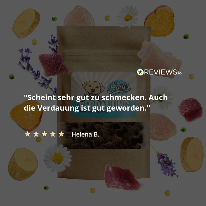 Funktionaler Snack Verdauung - Fördert eine gesunde Darmflora