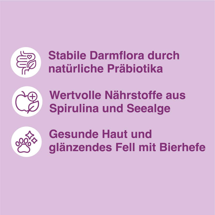 Superfood Softies Lamm