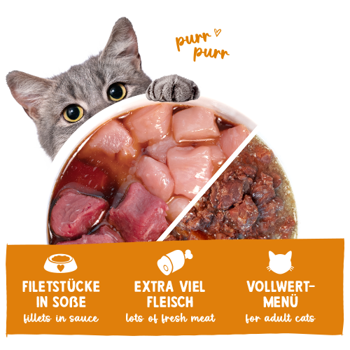 Sanabelle Nassfutter 6x380g