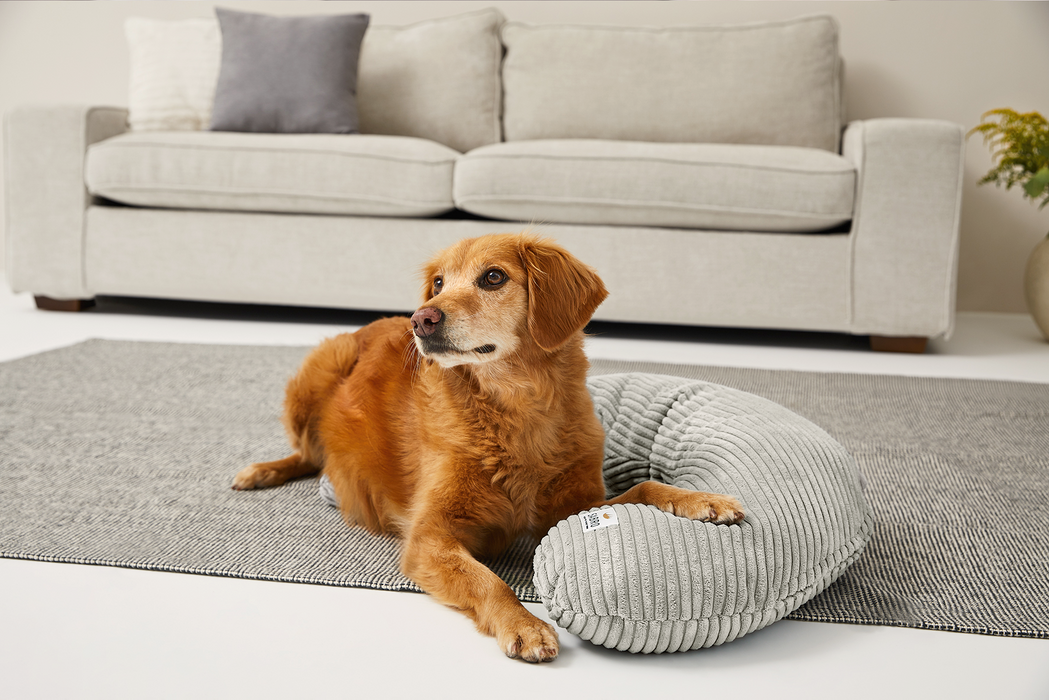 Bezug für SCHMUSEHÖRNCHEN Cord