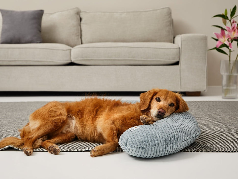 Bezug für SCHMUSEHÖRNCHEN Cord