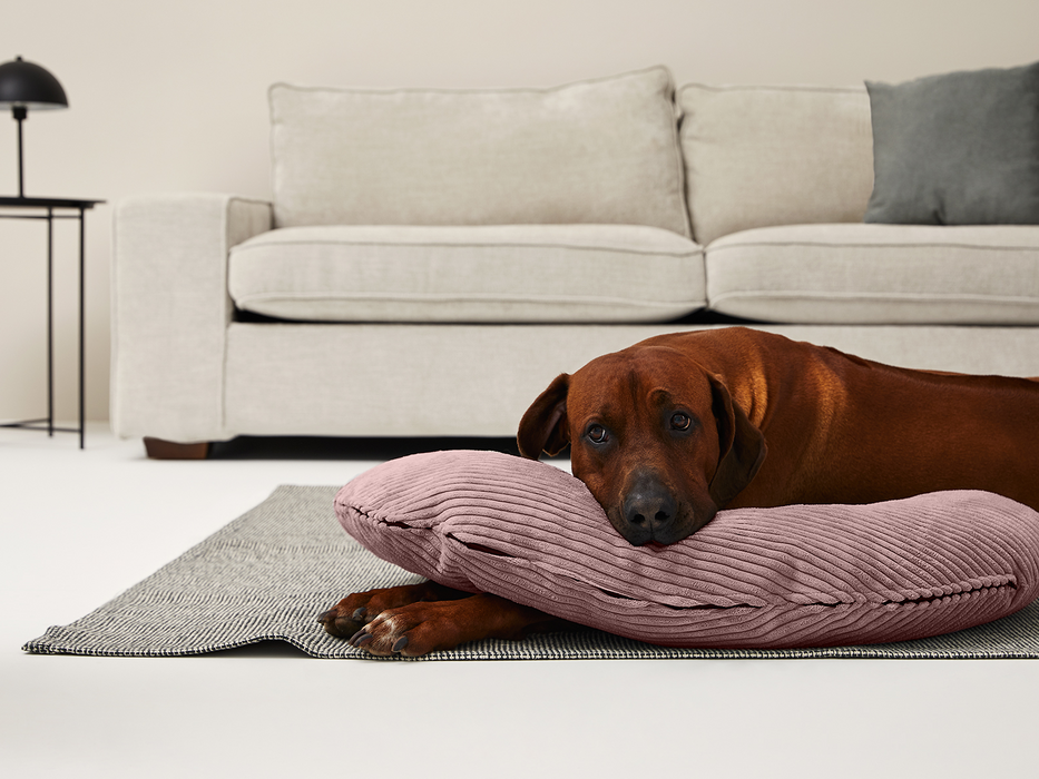 Bezug für SCHMUSEHÖRNCHEN Cord