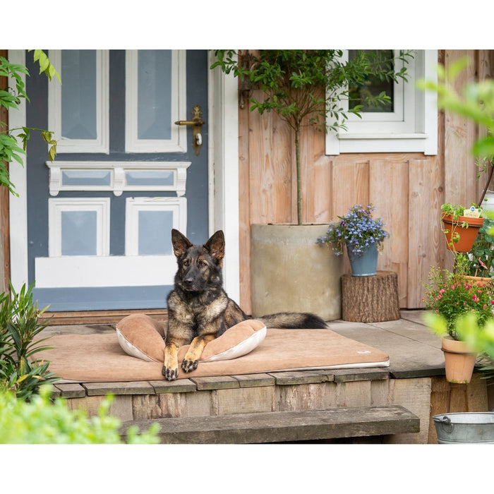 SCHMUSEHÖRNCHEN Alltid