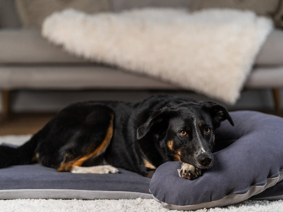 Hundeliegematte JOKKMOKK Alltid