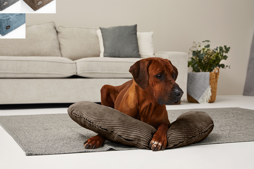 SCHMUSEHÖRNCHEN Cord