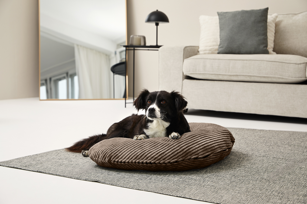 Bezug für SCHMUSEHÖRNCHEN Cord