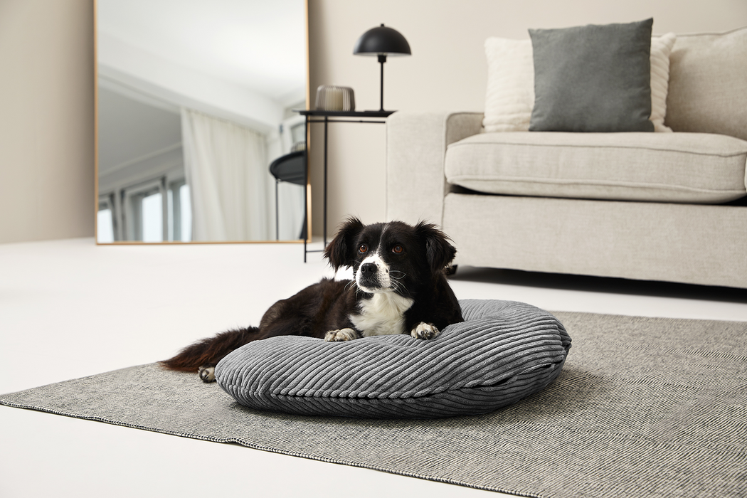 SCHMUSEHÖRNCHEN Cord