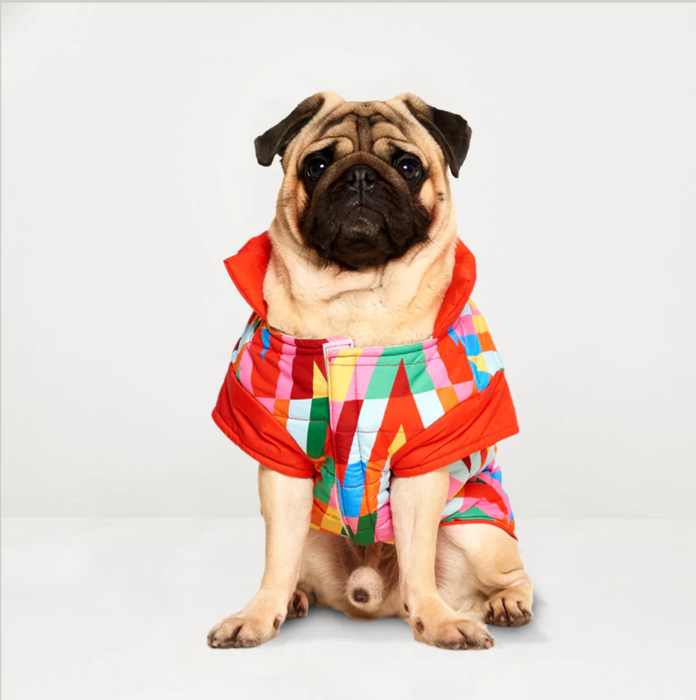 Color Splash Wasserdichte Pufferjacke