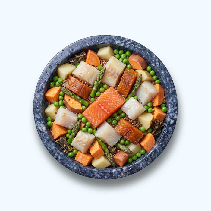 Trockenfutter Lachs | Welpenfutter-Regular