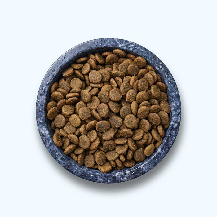 Trockenfutter Ente | Adult-Regular