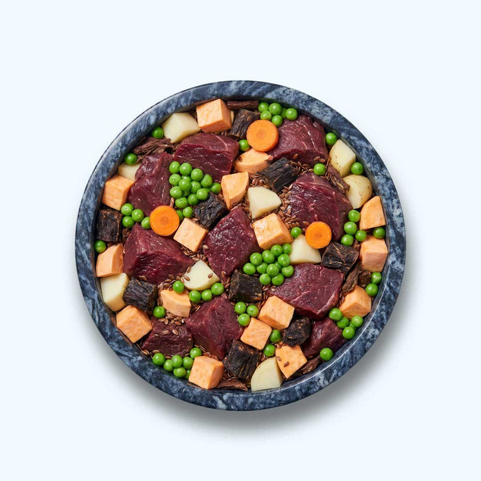 Trockenfutter Angus-Rind | Adult-Regular