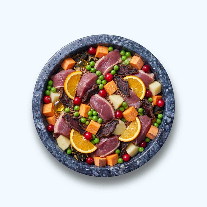 Trockenfutter Ente | Adult-Regular