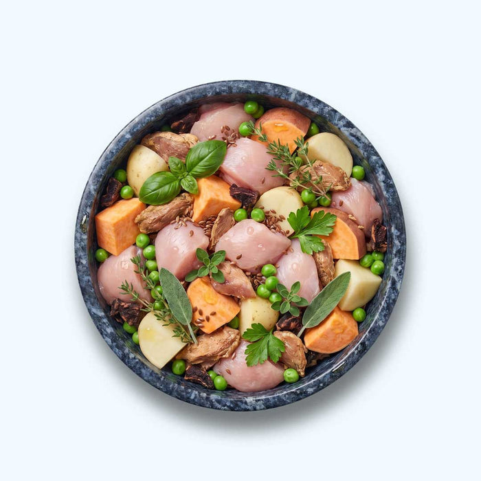 Trockenfutter Huhn | Adult-Regular
