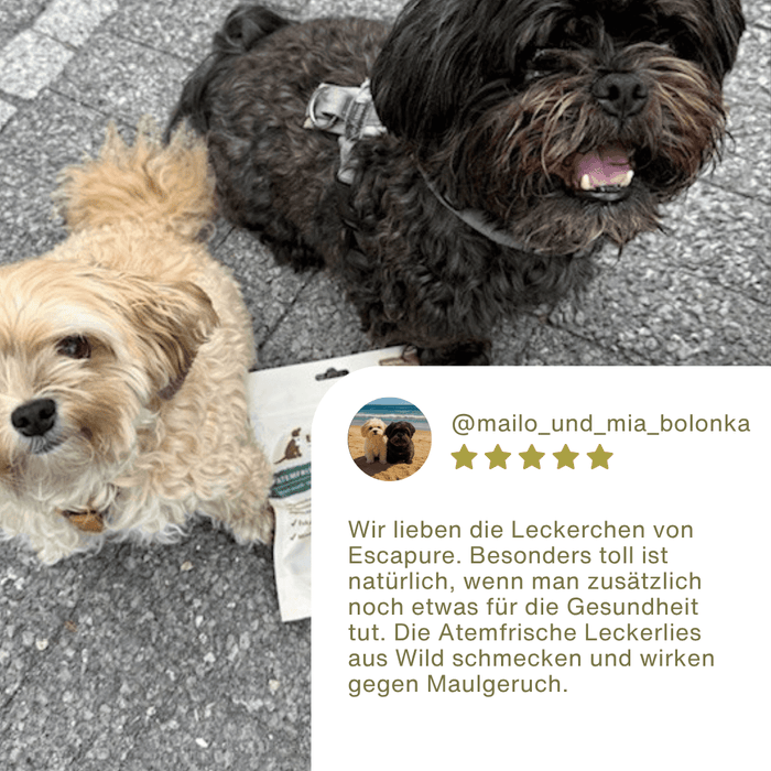 Atemfrische