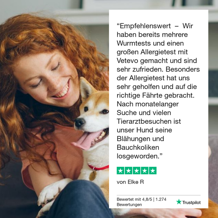 vetevo Allergietest Basic Katze