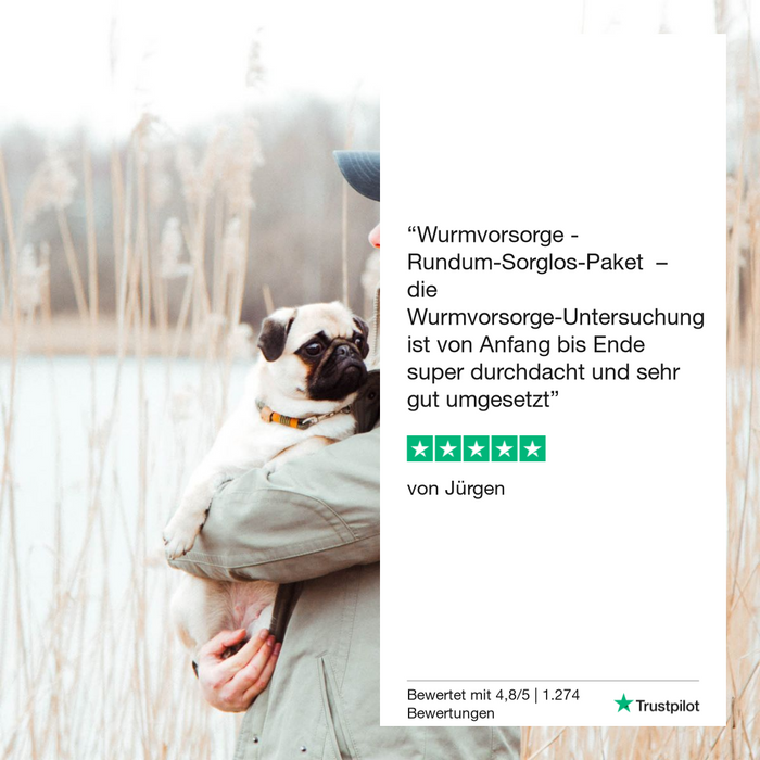 vetevo Lungenwurmtest Hund